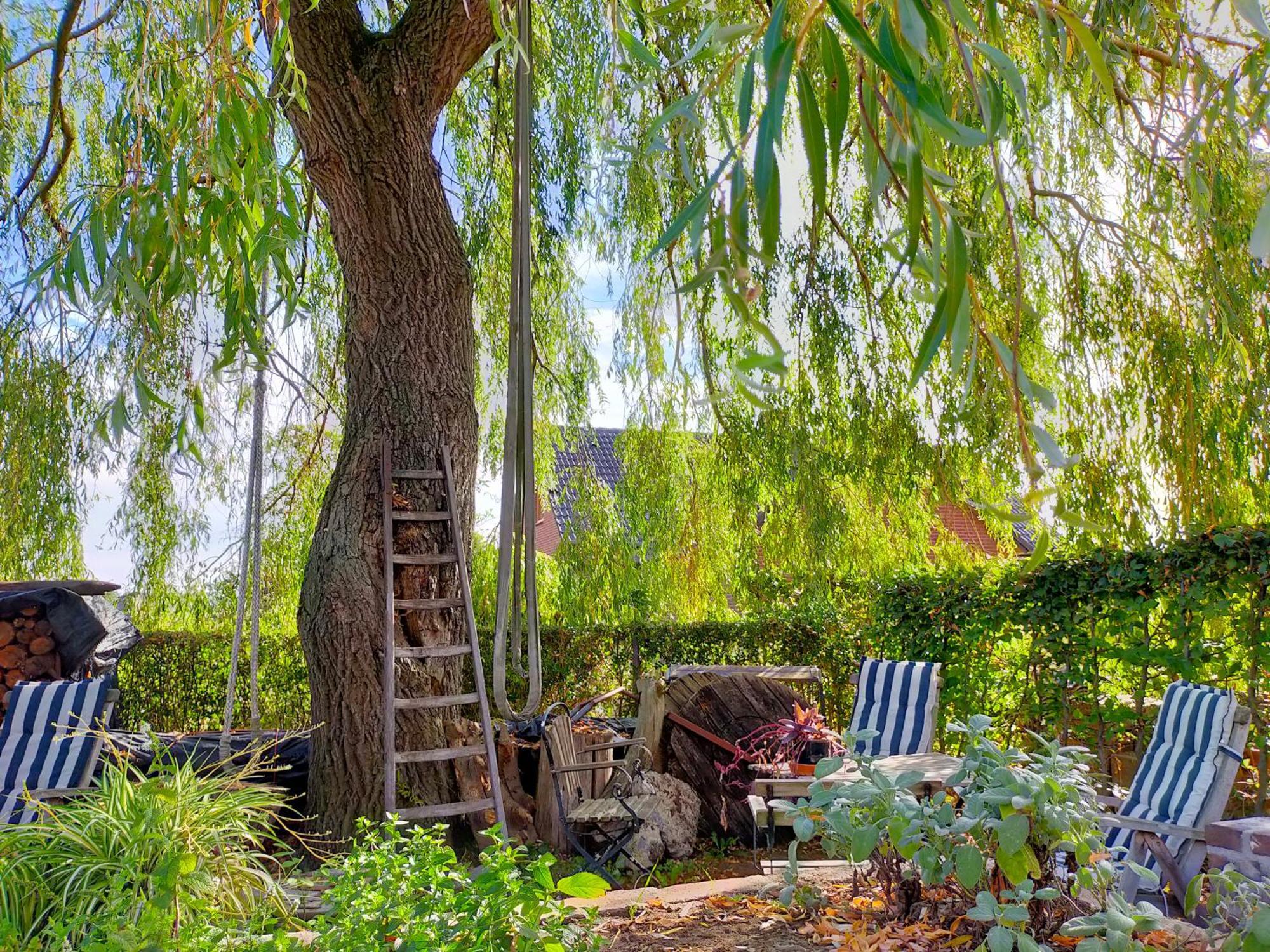 Aan De Molenberg Bed & Breakfast Broekhuizen  Exterior photo